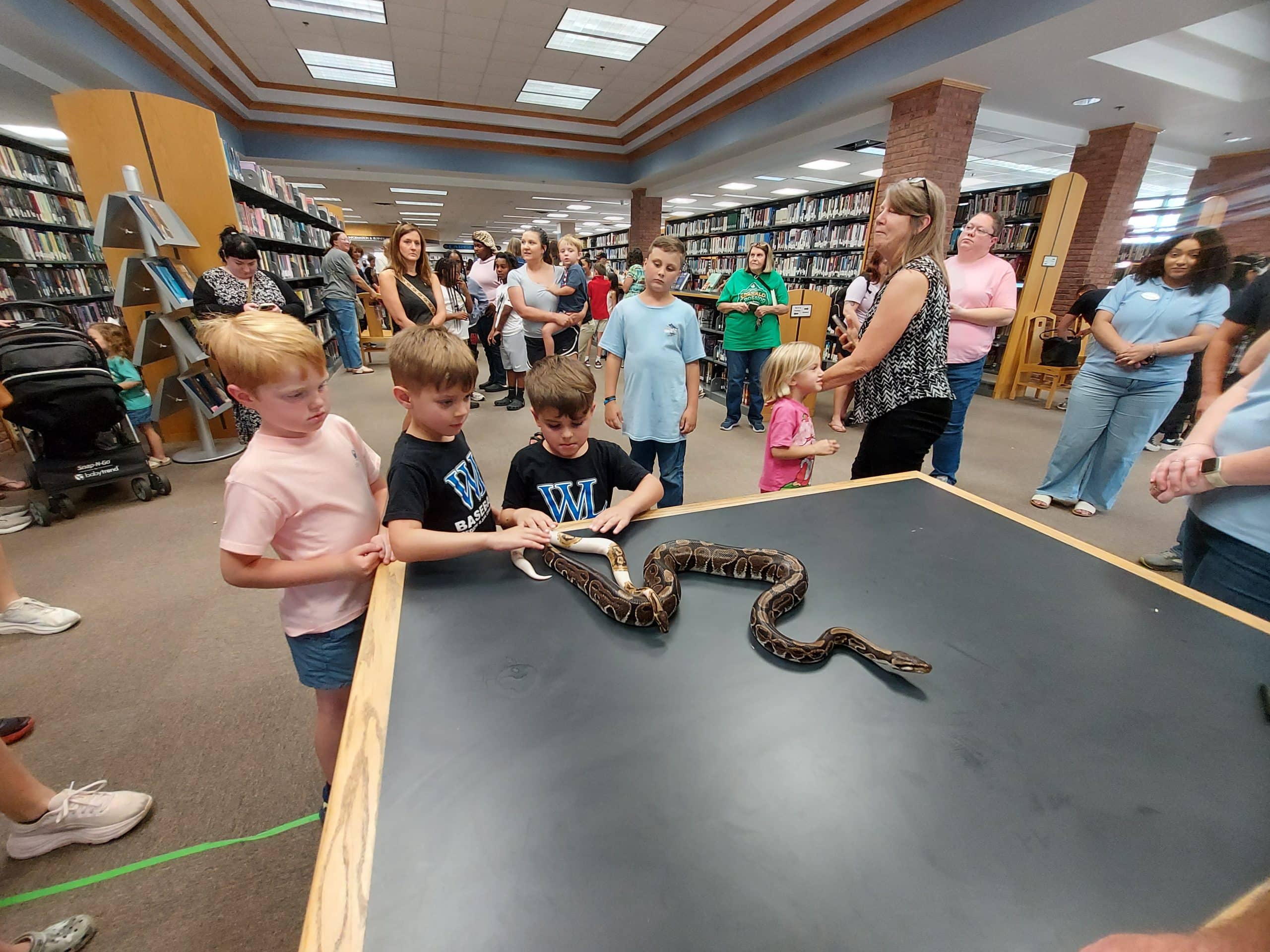 Dublin library shows the benefits of snakes